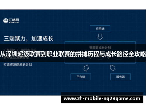 从深圳超级联赛到职业联赛的拼搏历程与成长路径全攻略