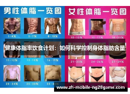 健康体脂率饮食计划：如何科学控制身体脂肪含量