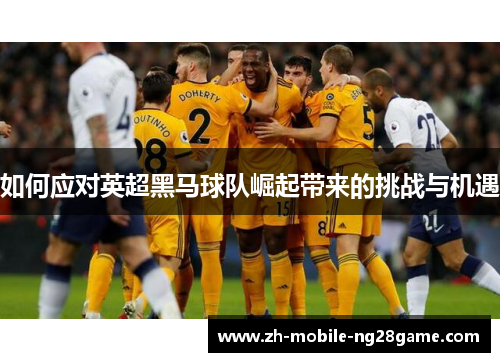 如何应对英超黑马球队崛起带来的挑战与机遇