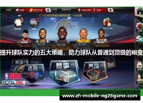 提升球队实力的五大策略，助力球队从普通到顶级的蜕变