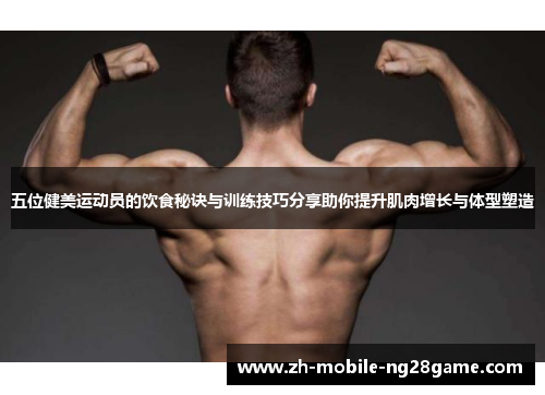 五位健美运动员的饮食秘诀与训练技巧分享助你提升肌肉增长与体型塑造