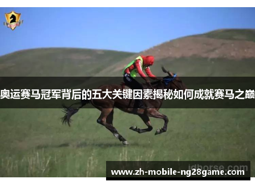 奥运赛马冠军背后的五大关键因素揭秘如何成就赛马之巅