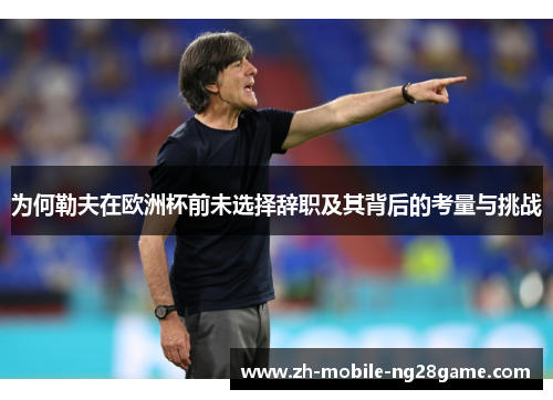 为何勒夫在欧洲杯前未选择辞职及其背后的考量与挑战