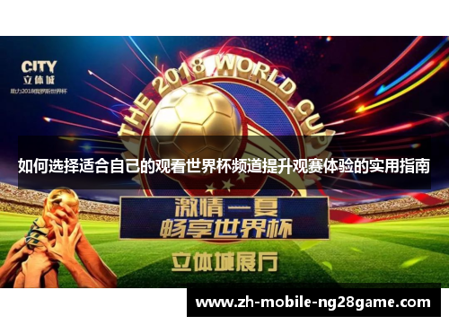如何选择适合自己的观看世界杯频道提升观赛体验的实用指南