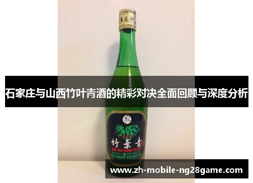 石家庄与山西竹叶青酒的精彩对决全面回顾与深度分析