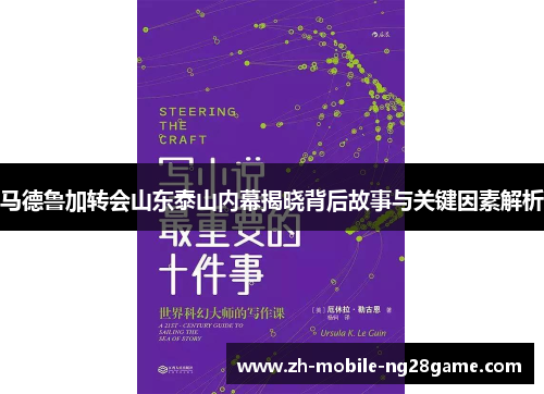 马德鲁加转会山东泰山内幕揭晓背后故事与关键因素解析