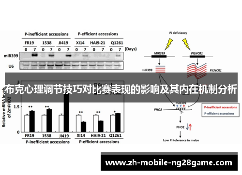 布克心理调节技巧对比赛表现的影响及其内在机制分析