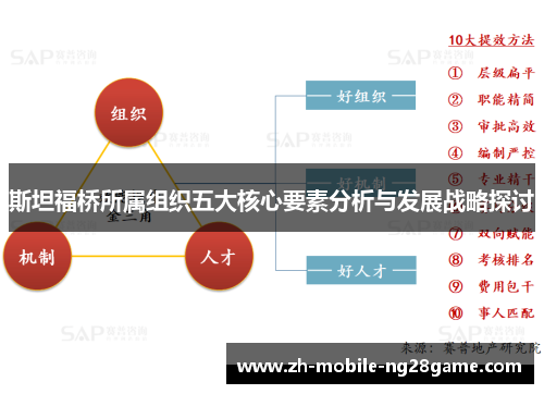 斯坦福桥所属组织五大核心要素分析与发展战略探讨