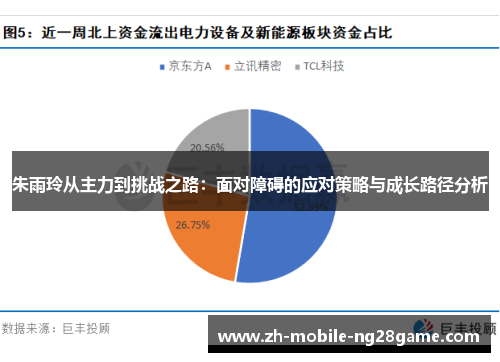 朱雨玲从主力到挑战之路：面对障碍的应对策略与成长路径分析